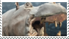 hippo stamp