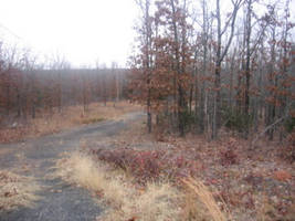 a driveway leading to nothing