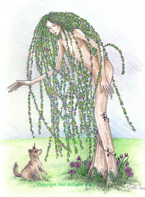 Willow Maiden