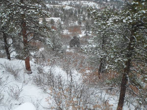 Woods In Winter Xll