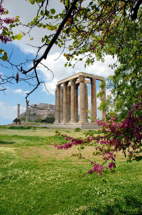 Columns of The Olympian Zeus I