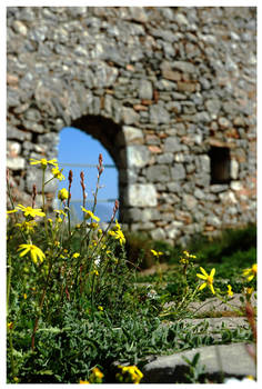 Spring In Ruins