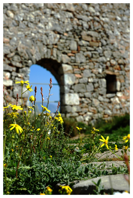 Spring In Ruins