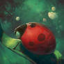 Mr Ladybird