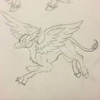 Hippogriff sketch 