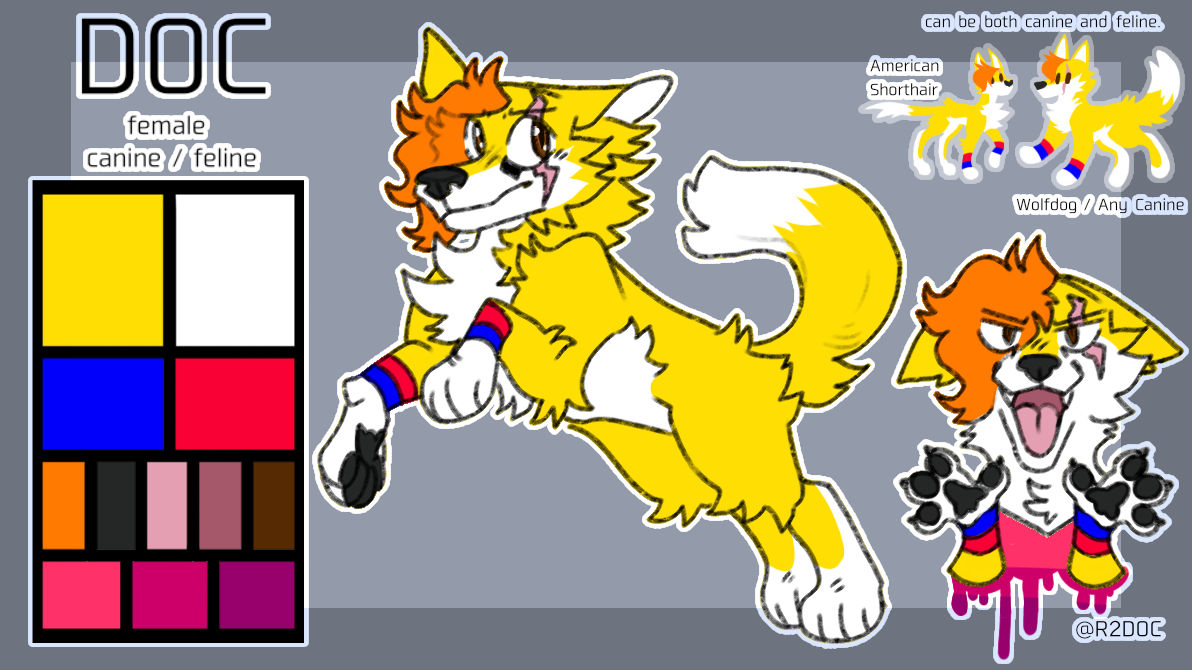 Doc Reference Sheet (Canine) by R2DOC on DeviantArt