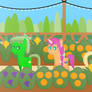 Fruit Garden