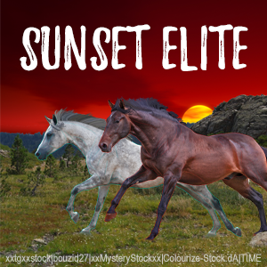 Sunset Elite Avatar