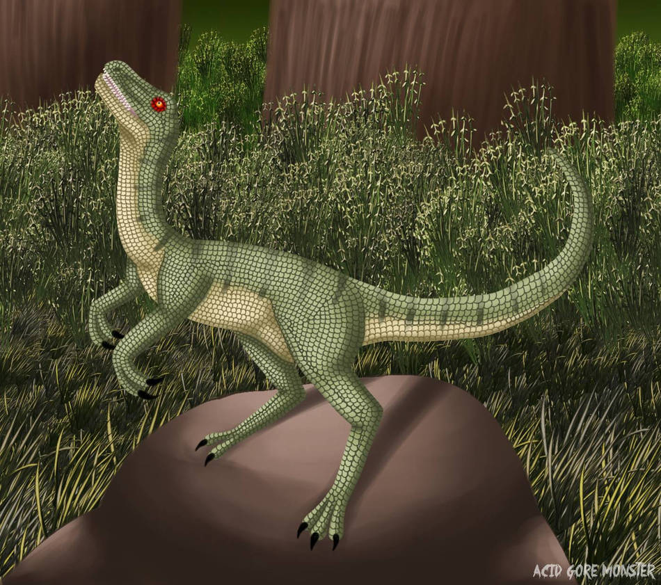 Compy by TigressyDragon on DeviantArt