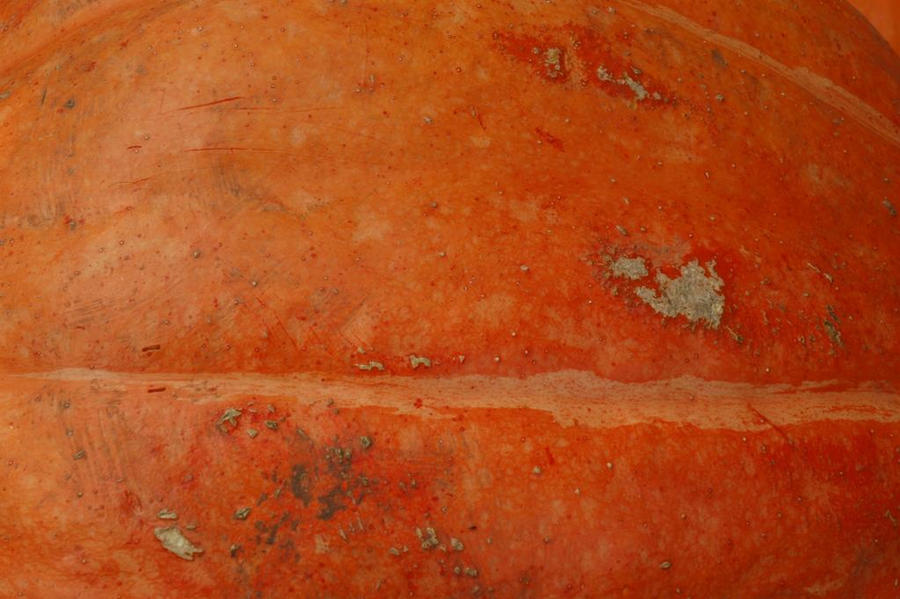 Tomatosource pumkin by TomatoSource on DeviantArt