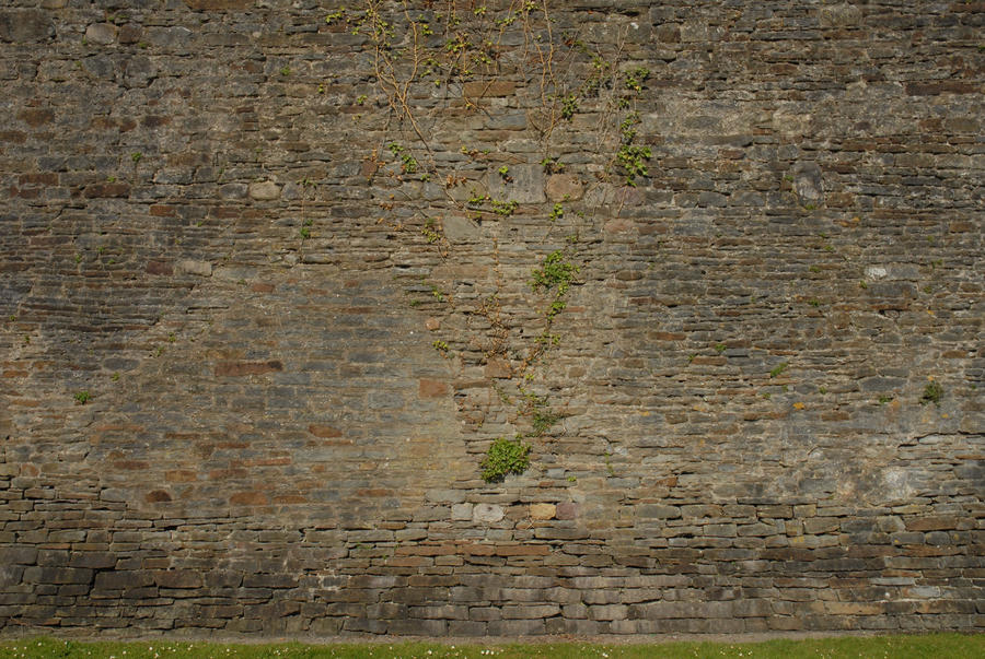 Tomatosource Caerphilly Castle Texture HQ04 by TomatoSource on DeviantArt