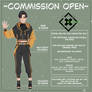 Regular Commissions ::Open::