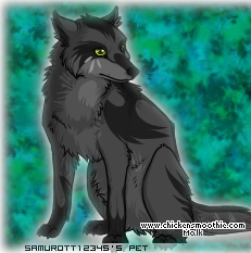 Unknown Wolf by serahwolf on DeviantArt
