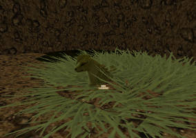 Boggybottom Wetlands Bass' Den