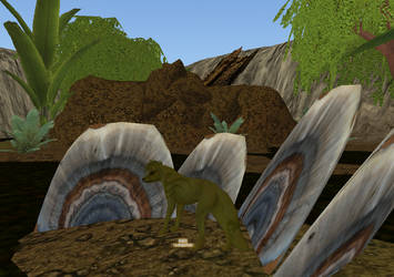 Boggybottom Wetlands Mushroom Crop