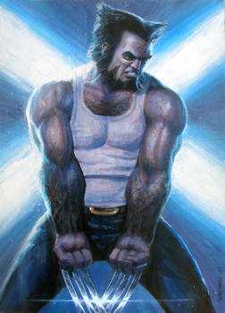 Wolverine-x-env 