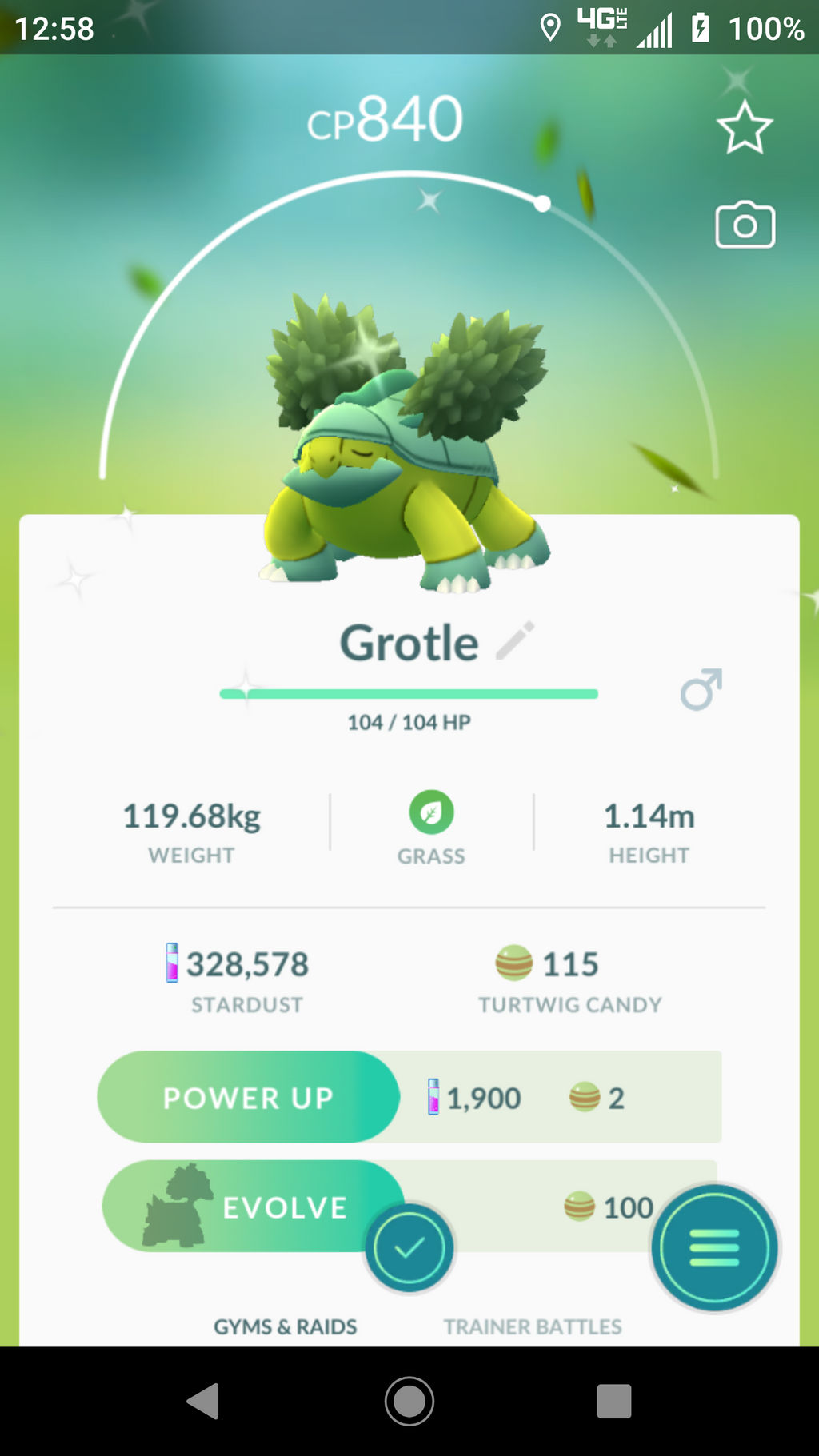 Shiny Grotle Shiny Grotle! by Sephy90 on DeviantArt