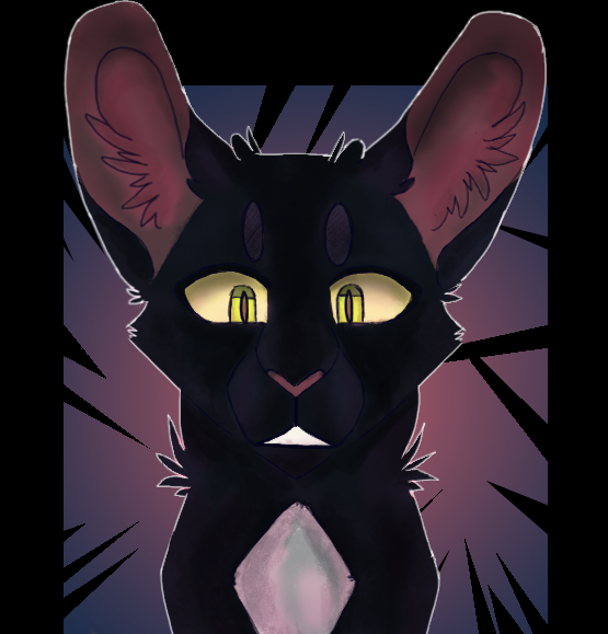 Warrior Cats] Ravenpaw Style Test REDO by dogabba on DeviantArt