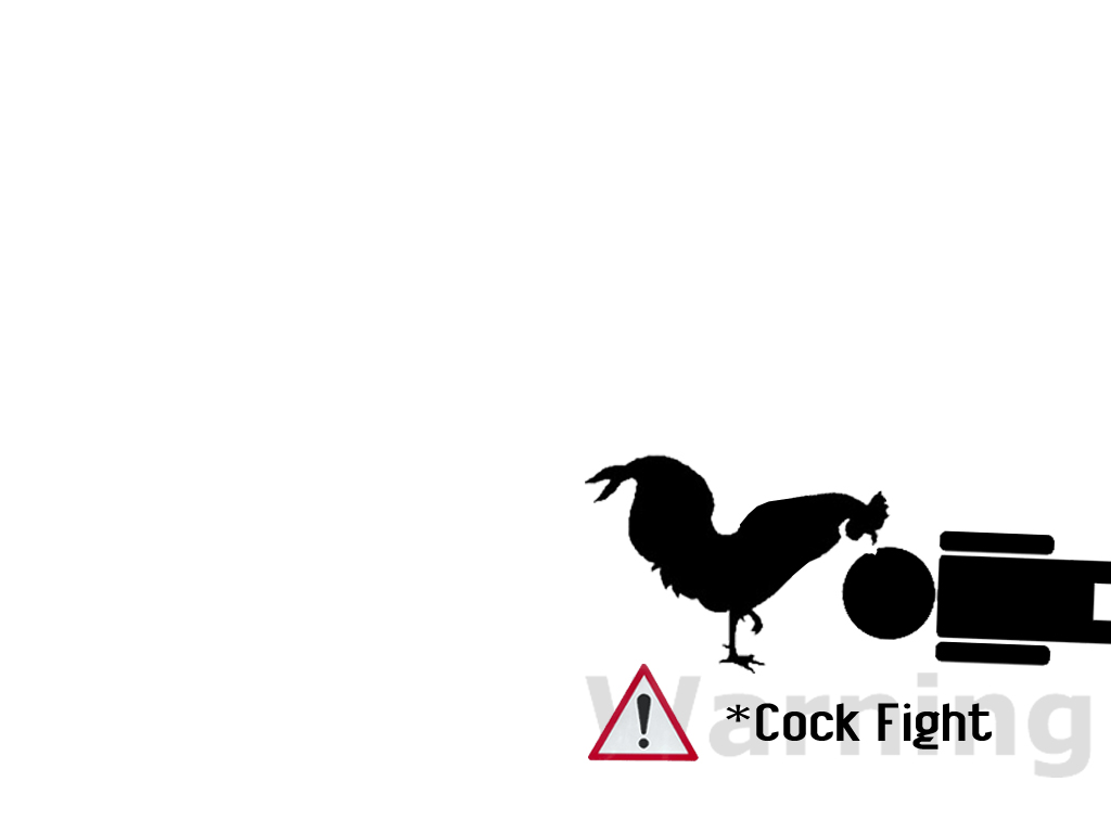 Warning - Cock Fight