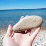 Petoskey Stone