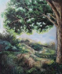 Countryside landscape