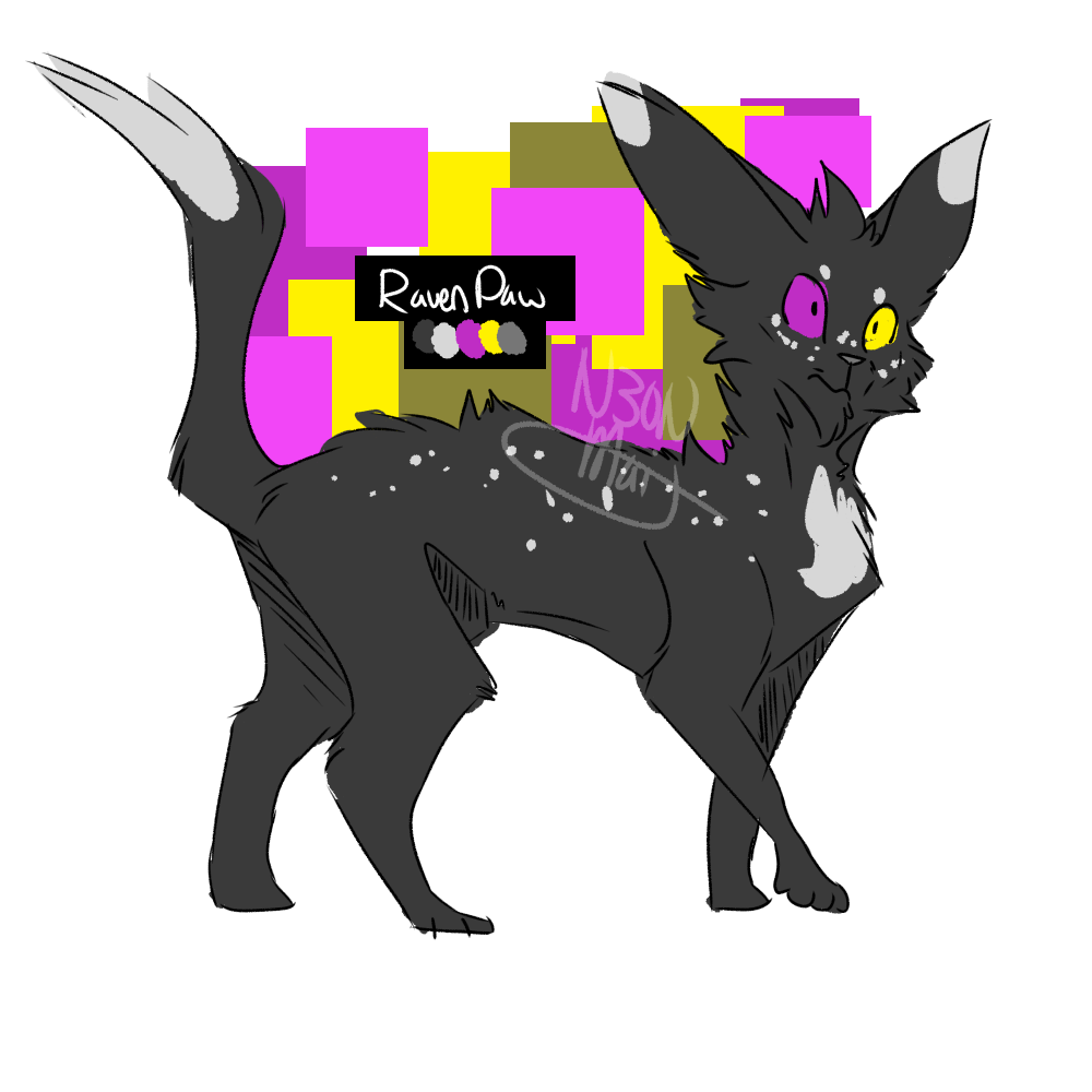 Ravenpaw- Warrior Cats by MailCipher on DeviantArt