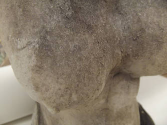 Ceramic Bust Closeup