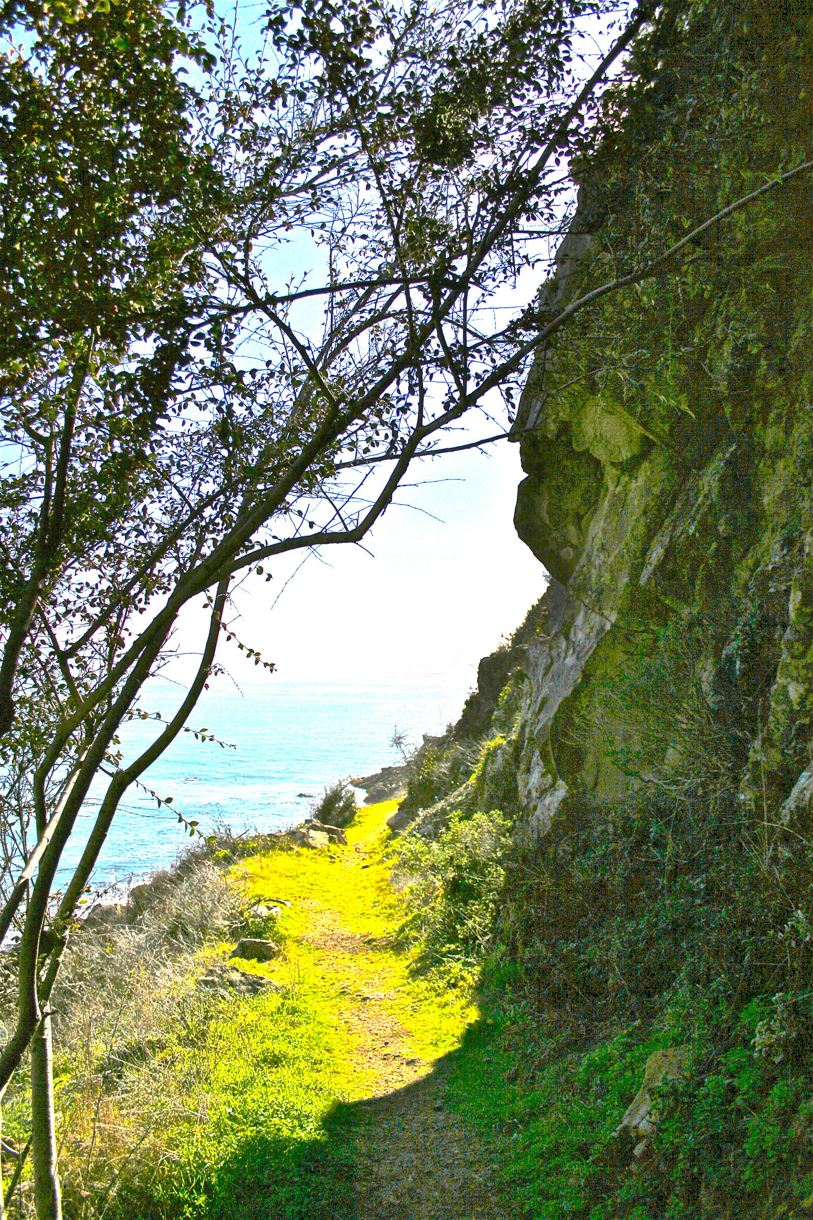 Cliffside Path