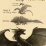 ~Middle Earth Dragons~ Holy Crap!!