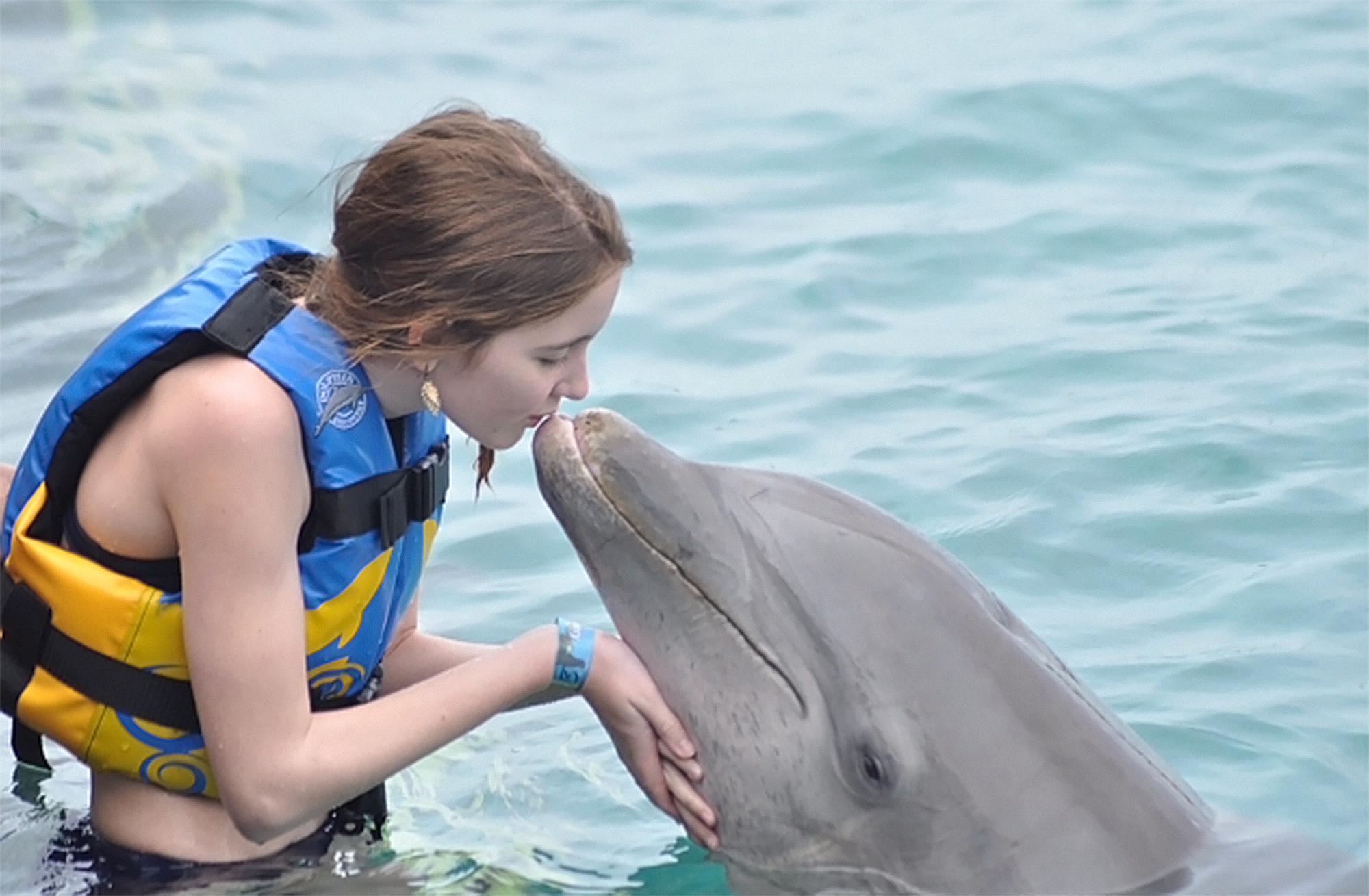 Kissing Dolphin - Stock