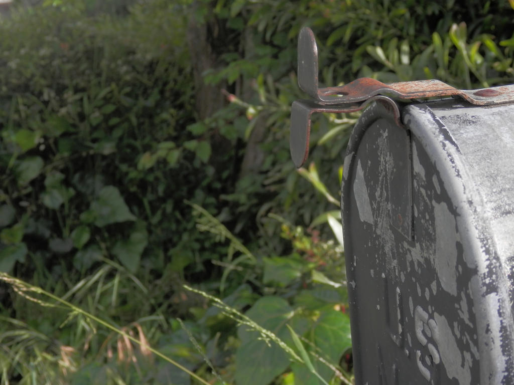 Deviantart Mailbird Mailbox by TheCozyAuthor on DeviantArt