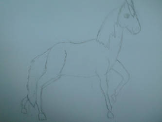 Horse practice