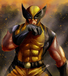 Wolverine