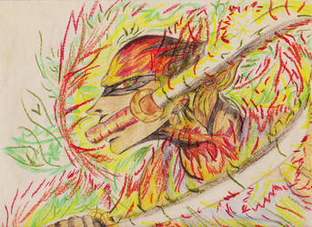 Flaming Zoro