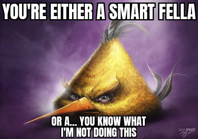 Realistic angry birds meme #6 by murgicissus on DeviantArt