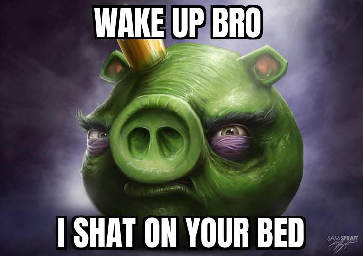 Realistic angry birds meme #7 by murgicissus on DeviantArt