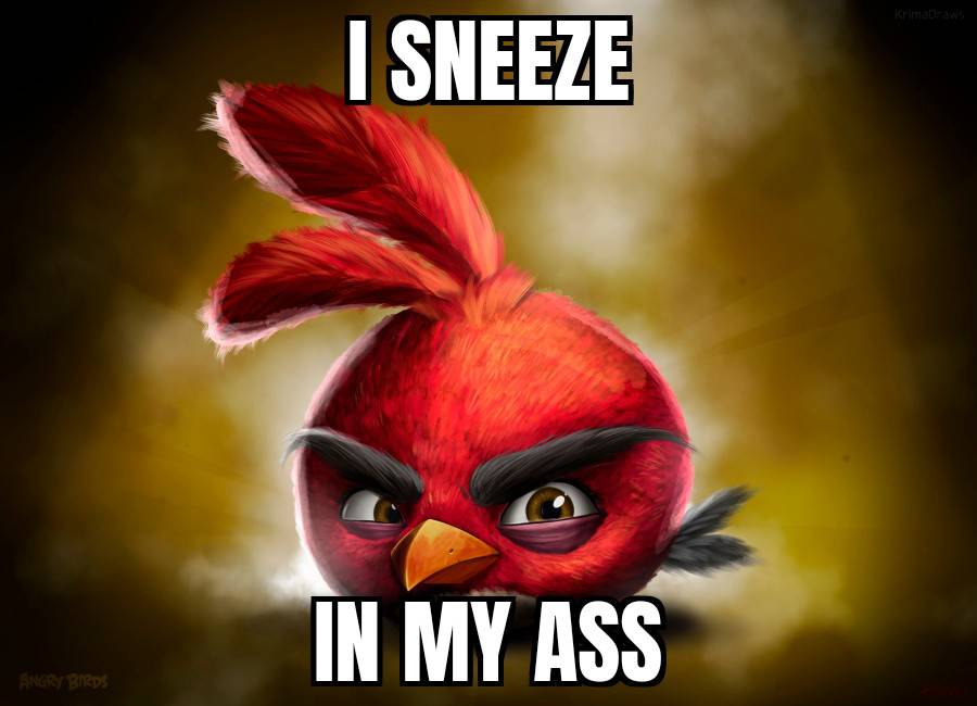 Realistic angry birds meme #13 by murgicissus on DeviantArt