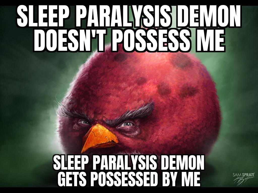 Realistic angry birds meme 17 by murgicissus on DeviantArt