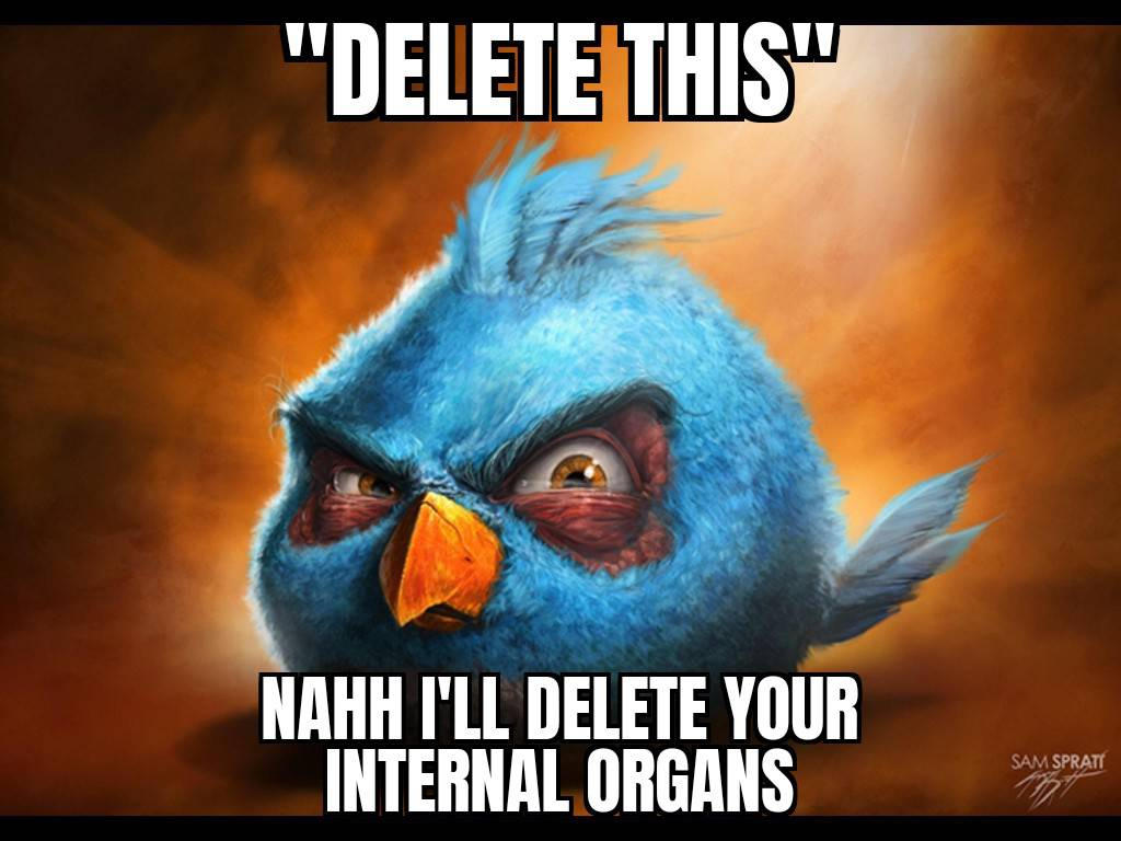 Realistic Angry Birds Meme 18 By MurgicDrawzSomething On DeviantArt realistic-angry-birds-meme-18-by-murgicdrawzsomething-on-deviantart
