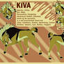 CM - Kiva reference