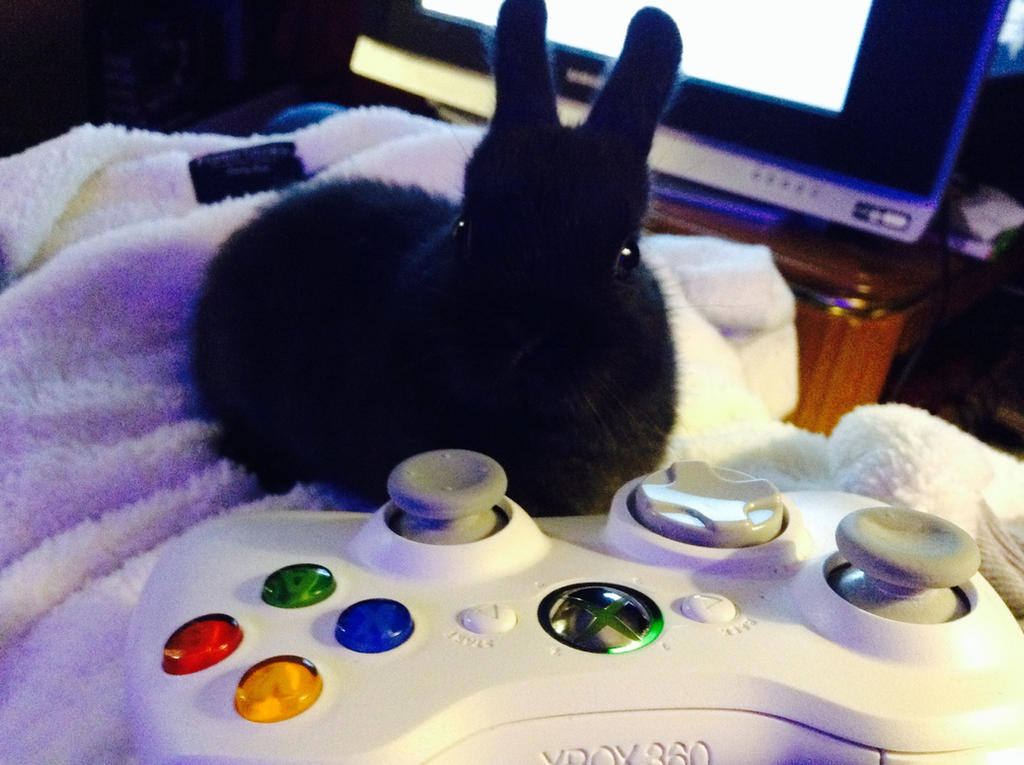 Xbox Gamerpic Rabbit Gamer bunny by MademoiselleSaboteur on DeviantArt