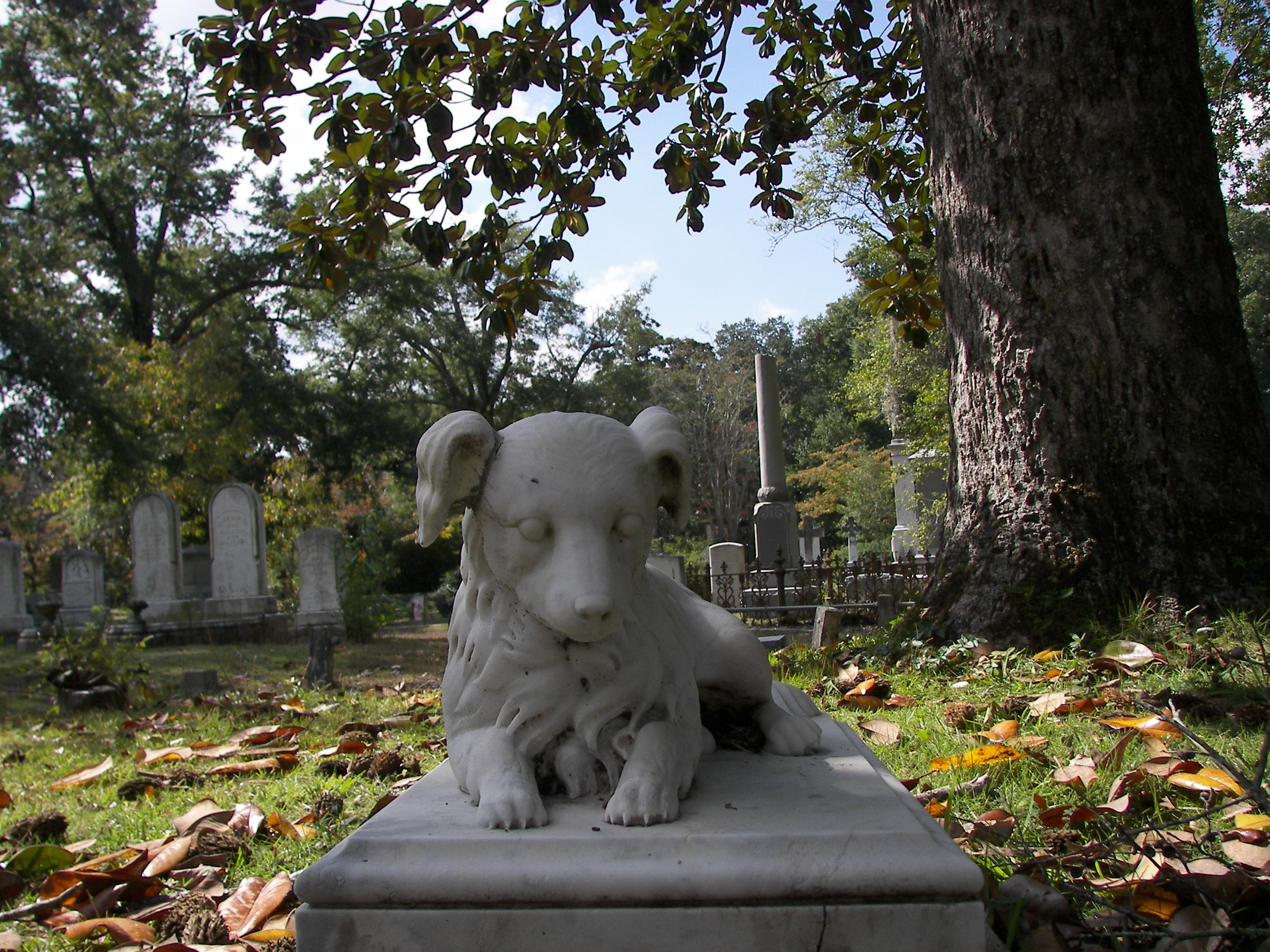 Dog Grave Stone