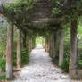 Pergola Garden