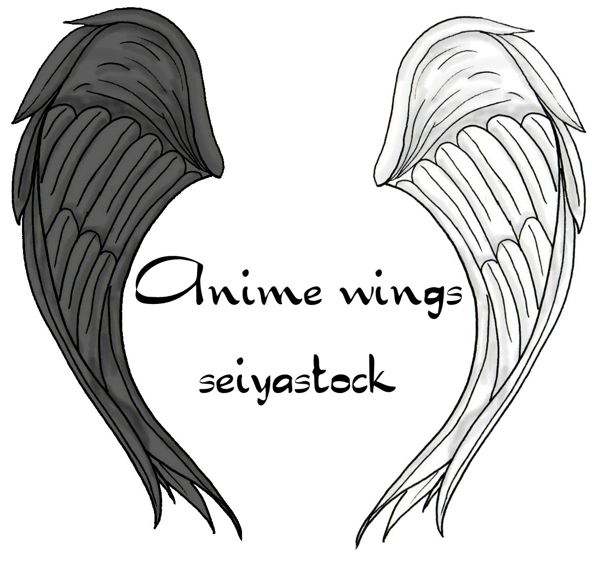 anime wings seiyastock