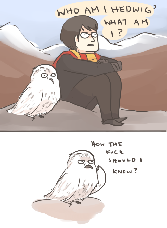 HP: WHAT AM I HEDWIG?