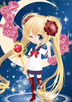 Sailor Moon Transformed