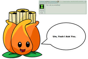 Ask A.K.E.E 1
