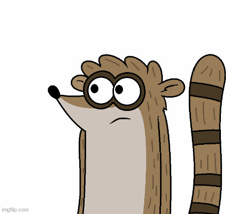 Rigby Shocked Animation by adrianmacha20005 on DeviantArt
