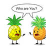 Two Pineapples