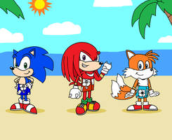 Sonic and the Legendary Luau Brothers